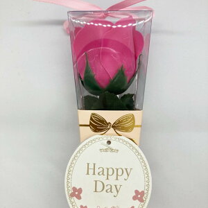 mini kelee ~jP[u[Py oXtOX  \[vt[ Mtg o^C   zCgf[̂Ԃz