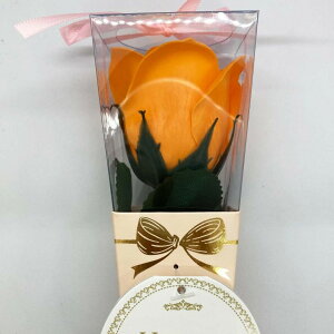 mini kelee ~jP[u[Py oXtOX  \[vt[ Mtg o^C   zCgf[̂Ԃz