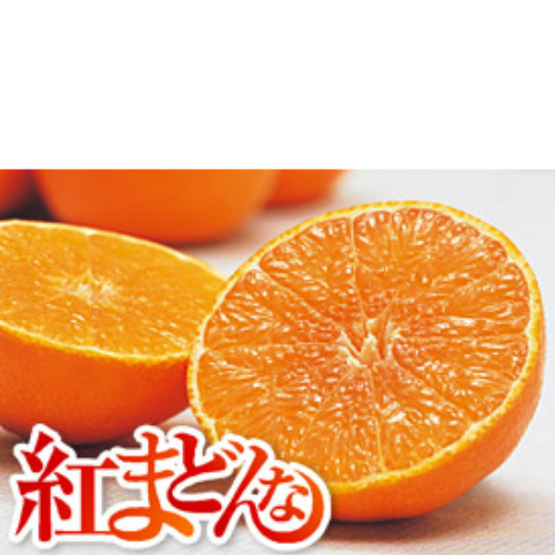 2021人気特価 低価格 愛媛生まれの新柑橘で ゼリーのような新食感 紅まどんな L 約1.5kg ７～８玉 webtailoring.sk webtailoring.sk