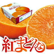 紅まどんな【等級 赤/青秀】 L 約3kg (15玉) 【味センサー選別品】【ご贈答用】【化粧箱入】【JAえひめ中…