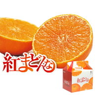 紅まどんな【等級 赤/青秀】 L 約 1.5kg (7〜8玉) 【手提げ化粧箱入】【ご贈答用】【送料無料】【JAえひ…