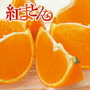 紅まどんな【等級 青〇 】約 2kg 2L 〜L (8〜10玉) 【味センサー選別品】【ご家庭用】【送料無料】【JAえひめ中央】【北海道・沖縄県は別途送料】