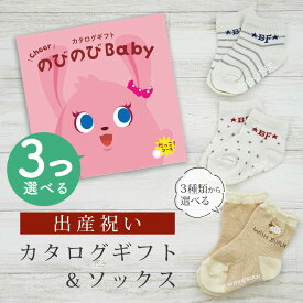 【SS期間中はエントリーでP10倍】出産祝い カタログギフト のびのび Baby 3つ選べる だっこ！コース＆ ソックス セット【 ショート 靴下 3種から選べる すべり止め付き ビセラ 日本製 国産 お祝い 男の子 女の子 赤ちゃん ベビー】