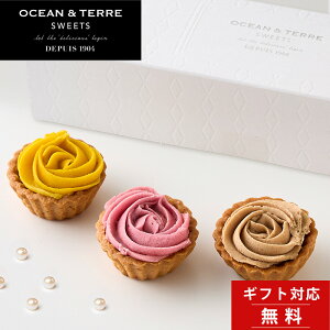 sVit Mtg XC[c t[u 3 ~ju OCEAN&TERRE SWEETS yyY j j  a  TԂ j oYj IV mَq Ăَq 