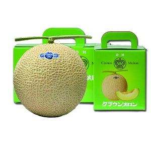 É NE 2ʁyY Mtg ցz/XC[c fU[g t[c ʕ AΕ 蕨 v[g  j hV̓ wj iwj wj iwj Ԃ