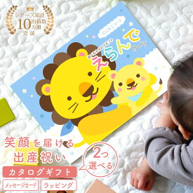 出産祝い カタログギフト 赤ちゃん えらんで Baby にこにこコース 2つ選べる カタログのみ 名入れスタイセット 名入れハンカチセット【 双子 出産 お祝い プレゼント ハーモニック ギフト 祝 男の子 女の子 ギフト 】