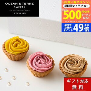 y5܂P5{ȏzsVit Mtg XC[c t[u 3 ~ju OCEAN&TERRE SWEETS yyY j j  a  TԂ j oYj IV