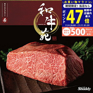 y}\I܂P5{zYa  J^OMtg 1~ 2~ a R[Xylj Ԃ j j  Ԃ Ε  j oYj wj hV̓ 