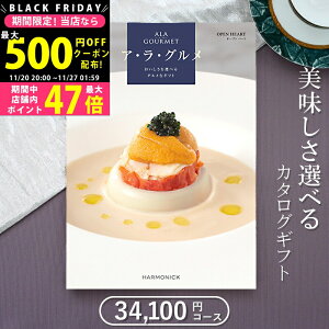 yN[|zz!BLACK FRIDAYz OJ^OMtg n[jbN AO I[vn[gi31,000~R[Xj3~ᑗylj Ԃ j oYj j Vz