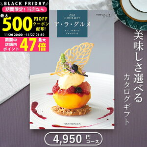 yN[|ł!BLACK FRIDAYzOJ^OMtg n[jbN AO gRYi4500~R[Xjᑗylj Ԃ j oYj j Vzj