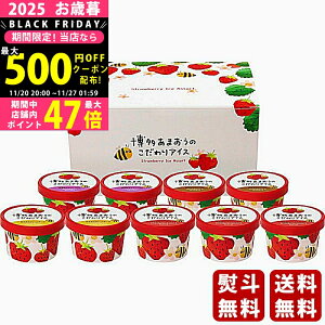 yN[|zz!BLACK FRIDAYzΕ ~Mtg ܂̂ACXs2025N Εpi Ⓚ ցt [AH-ABR]/Mtg 蕨 lC    MtgZbg l