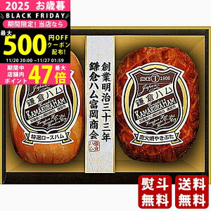 yN[|ł!BLACK FRIDAYzΕ ~Mtg qnx Gu2{ls2025N Εpi ① ցt [KN-320T]/Mtg 蕨 lC    Mtg