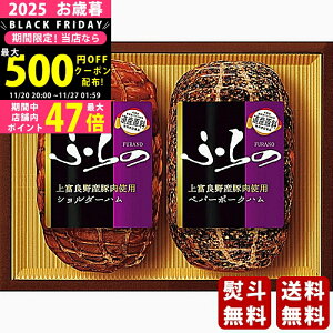 Ε ~Mtg xǖYؓgpMtgZbgs2025N Εpi ① ցt [HK-SPNN]/Mtg 蕨 lC    MtgZbg lߍ킹 i  