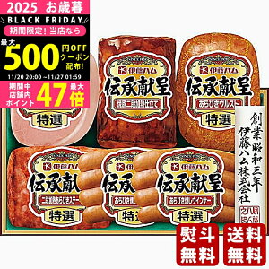 Ε ~Mtg ɓn `Mtgs2025N Εpi ① ցt [TO503]/Mtg 蕨 lC    MtgZbg lߍ킹 i   ΂