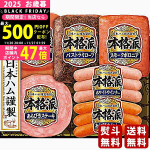 Ε ~Mtg {n {ihMtgs2025N Εpi ① ցt [NH-36]/Mtg 蕨 lC    MtgZbg lߍ킹 i   ΂ 