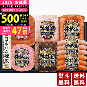 Ε ~Mtg {n {ihMtgs2025N Εpi ① ցt [NH-519]/Mtg 蕨 lC    MtgZbg lߍ킹 i   ΂