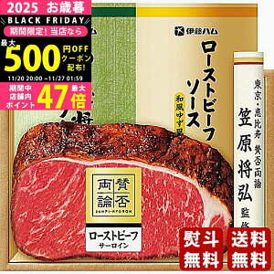 y2425P5{z Ε ~Mtg u^ۗ_v ã[Xgr[tT[CMtgs2025N Εpi Ⓚ ցt [WR-501]/Mtg 蕨 lC    MtgZb