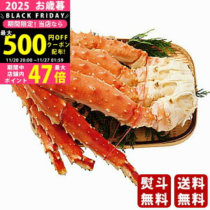 Ε ~Mtg ^oI̋r i1ji800gjs2025N Εpi Ⓚ ցt [TG800]/Mtg 蕨 lC    MtgZbg lߍ킹 i  