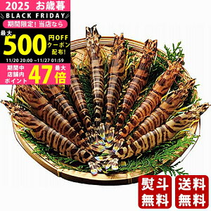 Ε ~Mtg ^ԊCVi230gjs2025N Εpi ցt/Mtg 蕨 lC    MtgZbg lߍ킹 i   ΂ 䈥A 