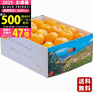 yN[|ł!BLACK FRIDAYzΕ ~Mtg QFaY B݂i3kgjs2025N Εpi ցt/Mtg 蕨 lC    MtgZbg lߍ킹 