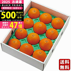 y2425P5{N[|zzzΕ ~Mtg QY g܂ǂ Gii3kgjs2025N Εpi ցt/Mtg 蕨 lC    MtgZbg lߍ킹 