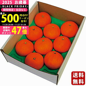 yN[|ł!BLACK FRIDAYzΕ ~Mtg QY ܂ǂȁi2kgjiQʎ28js2025N Εpi ցt/Mtg 蕨 lC    MtgZbg 