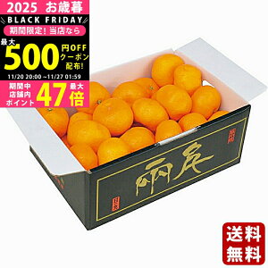 yN[|ł!BLACK FRIDAYzΕ ~Mtg QY ̊ۂ݂i2kgjs2025N Εpi ցt/Mtg 蕨 lC    MtgZbg lߍ킹 