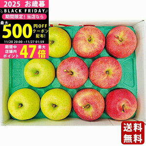 yN[|ł!BLACK FRIDAYzΕ ~Mtg XY Tӂ񂲁сi3kgjs2025N Εpi ցt/Mtg 蕨 lC    MtgZbg lߍ