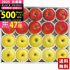 yN[|ł!BLACK FRIDAYzΕ ~Mtg XY Tӂ񂲁сi5kgjs2025N Εpi ցt/Mtg 蕨 lC    MtgZbg lߍ