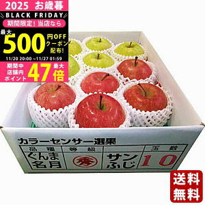 yN[|ł!BLACK FRIDAYzΕ ~Mtg XY TӂEܖi2.5kgjs2025N Εpi ցt [2.5KG]/Mtg 蕨 lC    MtgZbg 