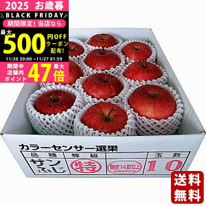 yN[|ł!BLACK FRIDAYzΕ ~Mtg XY x14xȏTӂ i2.5kgjs2025N Εpi ցt [142.5KG]/Mtg 蕨 lC    MtgZb