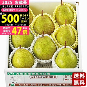 y2425P5{N[|zzzΕ ~Mtg ݉̎R`YEtXi2.5kgjs2025N Εpi ցt/Mtg 蕨 lC    MtgZbg l