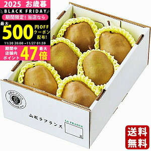 y2425P5{N[|zzzΕ ~Mtg X[p[EtXi1.5kgjs2025N Εpi ցt/Mtg 蕨 lC    MtgZbg lߍ킹 