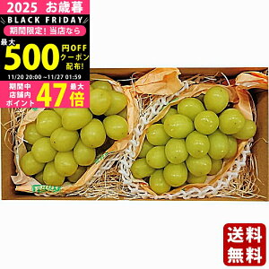 Ε ~Mtg 쌧Y VC}XJbgi2[js2025N Εpi ցt/Mtg 蕨 lC    MtgZbg lߍ킹 i   ΂