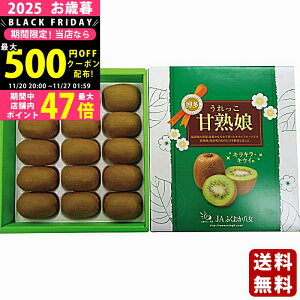 yN[|ł!BLACK FRIDAYzΕ ~Mtg Y ÏnijLECi1.5kgjs2025N Εpi ցt/Mtg 蕨 lC    MtgZb