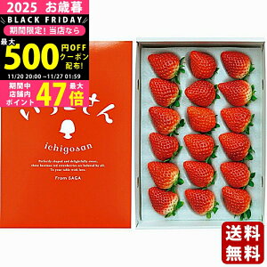 Ε ~Mtg ꌧY i400gjs2025N Εpi ցt/Mtg 蕨 lC    MtgZbg lߍ킹 i   ΂ 䈥