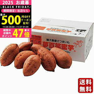 yN[|ł!BLACK FRIDAYzΕ ~Mtg Y SΖi[ji2kgjs2025N Εpi ցt/Mtg 蕨 lC    MtgZbg lߍ