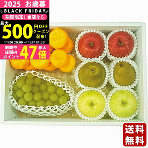 y2425P5{N[|zzzΕ ~Mtg ґȍYt[c5ls2025N Εpi ցt/Mtg 蕨 lC    MtgZbg lߍ킹 