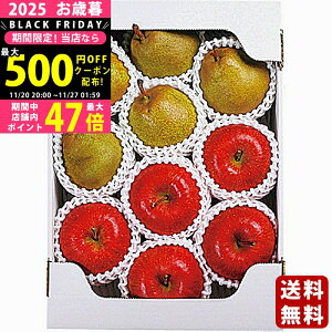 yN[|ł!BLACK FRIDAYzΕ ~Mtg ݉̂񂲁EEtXls2025N Εpi ցt [13308002]/Mtg 蕨 lC    MtgZb