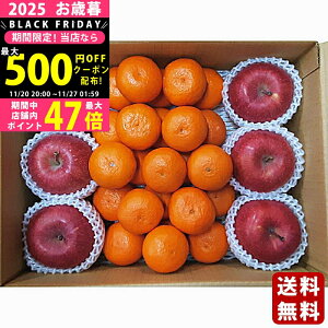 yN[|ł!BLACK FRIDAYzΕ ~Mtg ݂E񂲃Zbgs2025N Εpi ցt/Mtg 蕨 lC    MtgZbg lߍ킹 i 