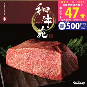 yX[p[SALEʃN[|zYa  J^OMtg 1~ 2~ a R[Xylj Ԃ j j  Ԃ Ε  j oYj wj hV