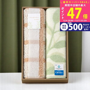 yX[p[SALEʃN[|zi` oX}bg2Zbg [93717] / Ε ~Mtg j Ԃ oYj j Mtg  j  TԂ p 