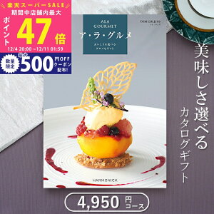 yX[p[SALEʃN[|zOJ^OMtg n[jbN AO gRYi4500~R[Xjᑗylj Ԃ j oYj j Vzj 