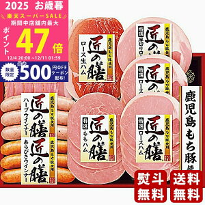 yX[p[SALEʃN[|zΕ ~Mtg v}n ̑VMtgs2025N Εpi ① ցt [TZ-SC]/Mtg 蕨 lC    MtgZbg lߍ킹 