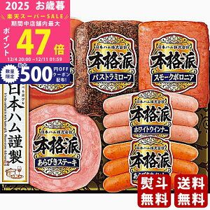 yX[p[SALEʃN[|zΕ ~Mtg {n {ihMtgs2025N Εpi ① ցt [NH-36]/Mtg 蕨 lC    MtgZbg lߍ킹 