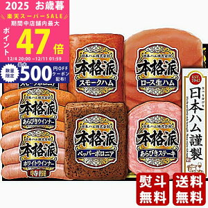 yX[p[SALEʃN[|zΕ ~Mtg {n {ihMtgs2025N Εpi ① ցt [NH-343]/Mtg 蕨 lC    MtgZbg lߍ킹 