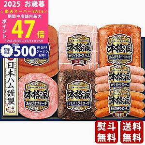 yX[p[SALEʃN[|zΕ ~Mtg {n {ihMtgs2025N Εpi ① ցt [NH-519]/Mtg 蕨 lC    MtgZbg lߍ킹 