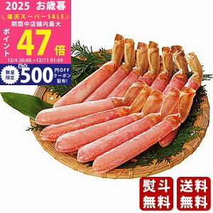 yX[p[SALEʃN[|zΕ ~Mtg 吶킢ɋr|[Vi500gjs2025N Εpi Ⓚ ցt [P500G]/Mtg 蕨 lC    MtgZbg 