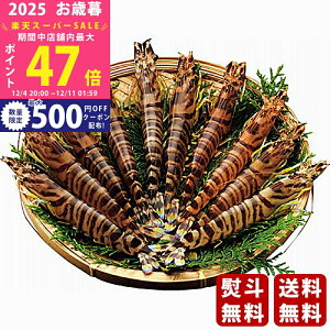 yX[p[SALEʃN[|zΕ ~Mtg ^ԊCVi230gjs2025N Εpi ցt/Mtg 蕨 lC    MtgZbg lߍ킹 i ΂