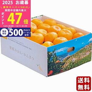 yX[p[SALEʃN[|zΕ ~Mtg QFaY B݂i3kgjs2025N Εpi ցt/Mtg 蕨 lC    MtgZbg lߍ킹 